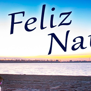 FELIZ NATAL E PRÓSPERO ANO NOVO!