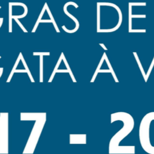REGRAS DE REGATA À VELA
